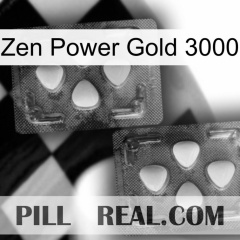 Zen Power Gold 3000 14